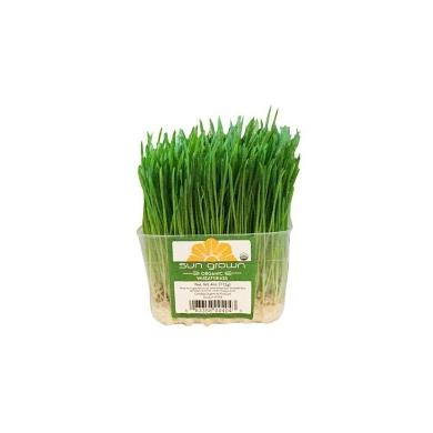 Asparagus Tips 500g